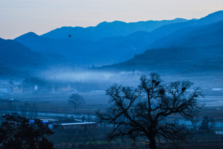 Zhu Quantang - Landscape-of-Maiji-Mount-4